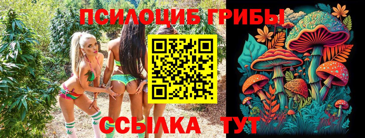 Дербент  Галлюциногенные грибы прущие грибы  Вход с VPN 
