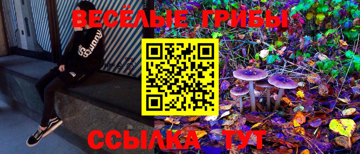Галлюциногенные грибы Psilocybine cubensis Дербент
